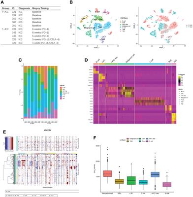 Dissecting Intra-Tumoral Changes Following Immune Checkpoint Blockades in Intrahepatic Cholangiocarcinoma via Single-Cell Analysis